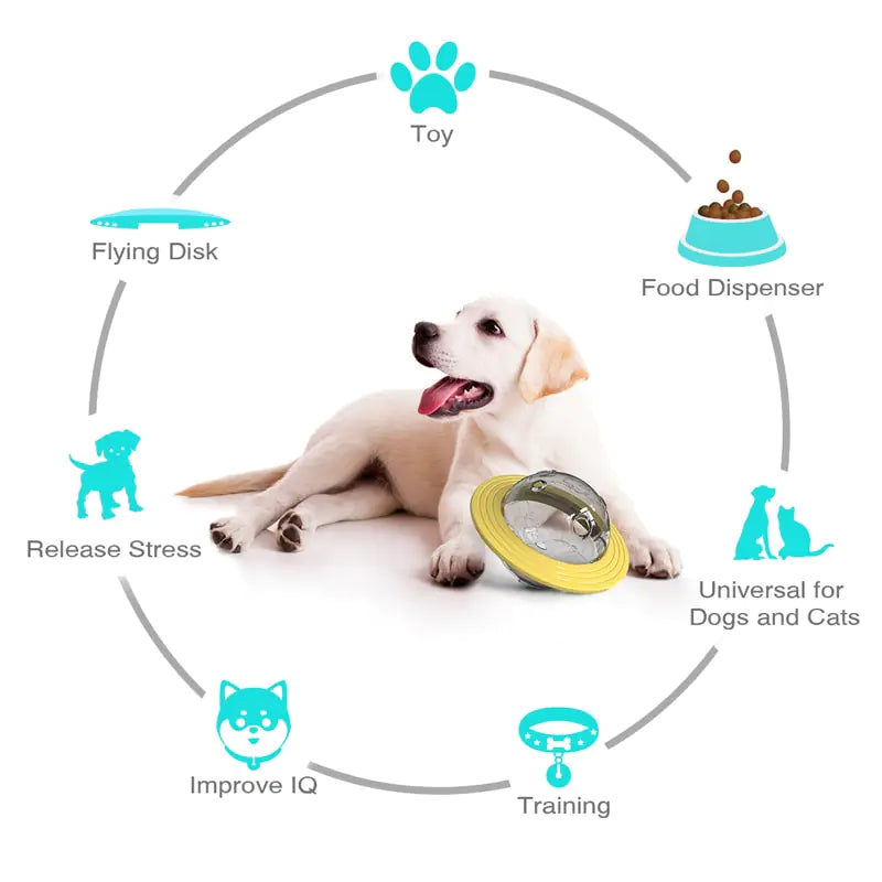 Frisbee Disc Dog Toy