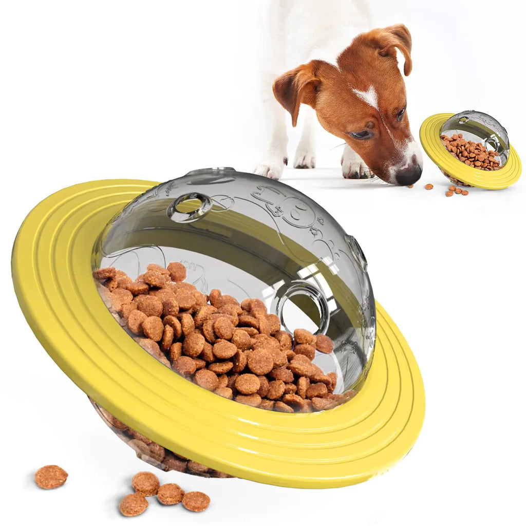 Frisbee Disc Dog Toy